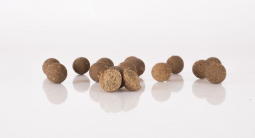 Nash Stabilised Boilies - Scopex Squid
