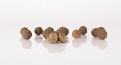 Nash Stabilised Boilies - Scopex Squid 