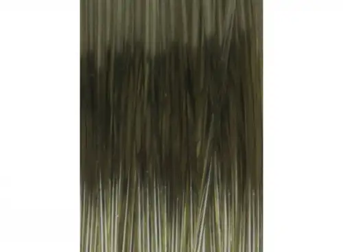 Carp Spirit Riga Mortis