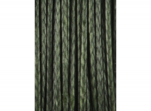 Carp Spirit Ballistic Braid