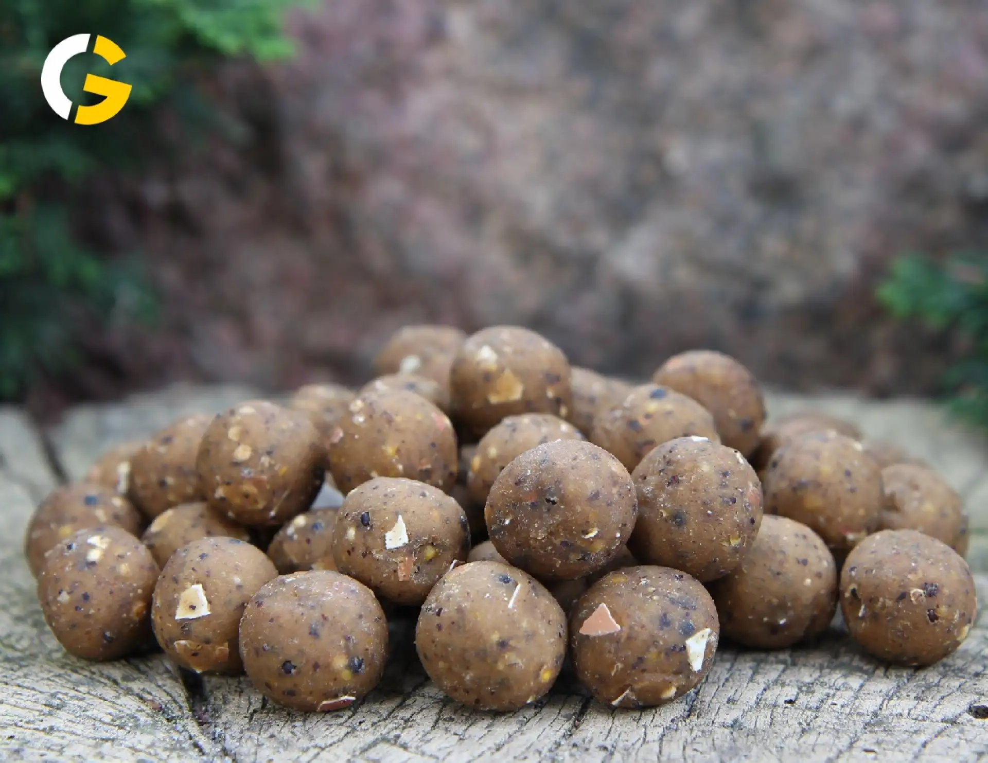 Carp Gravity Alfa Boilies - Turbo Ślimak
