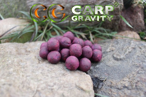 Carp Gravity Alfa Boilies - Secret Forest