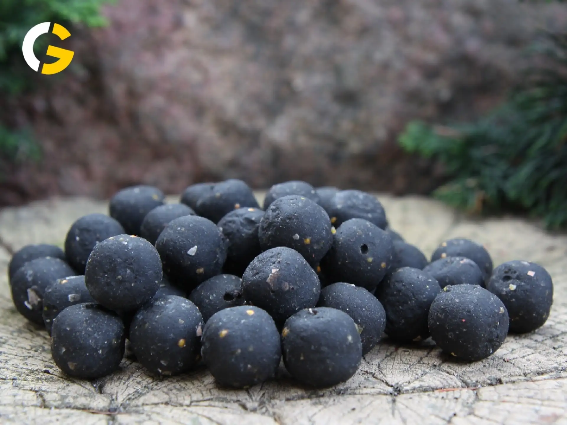 Carp Gravity Alfa Boilies - Racicznica