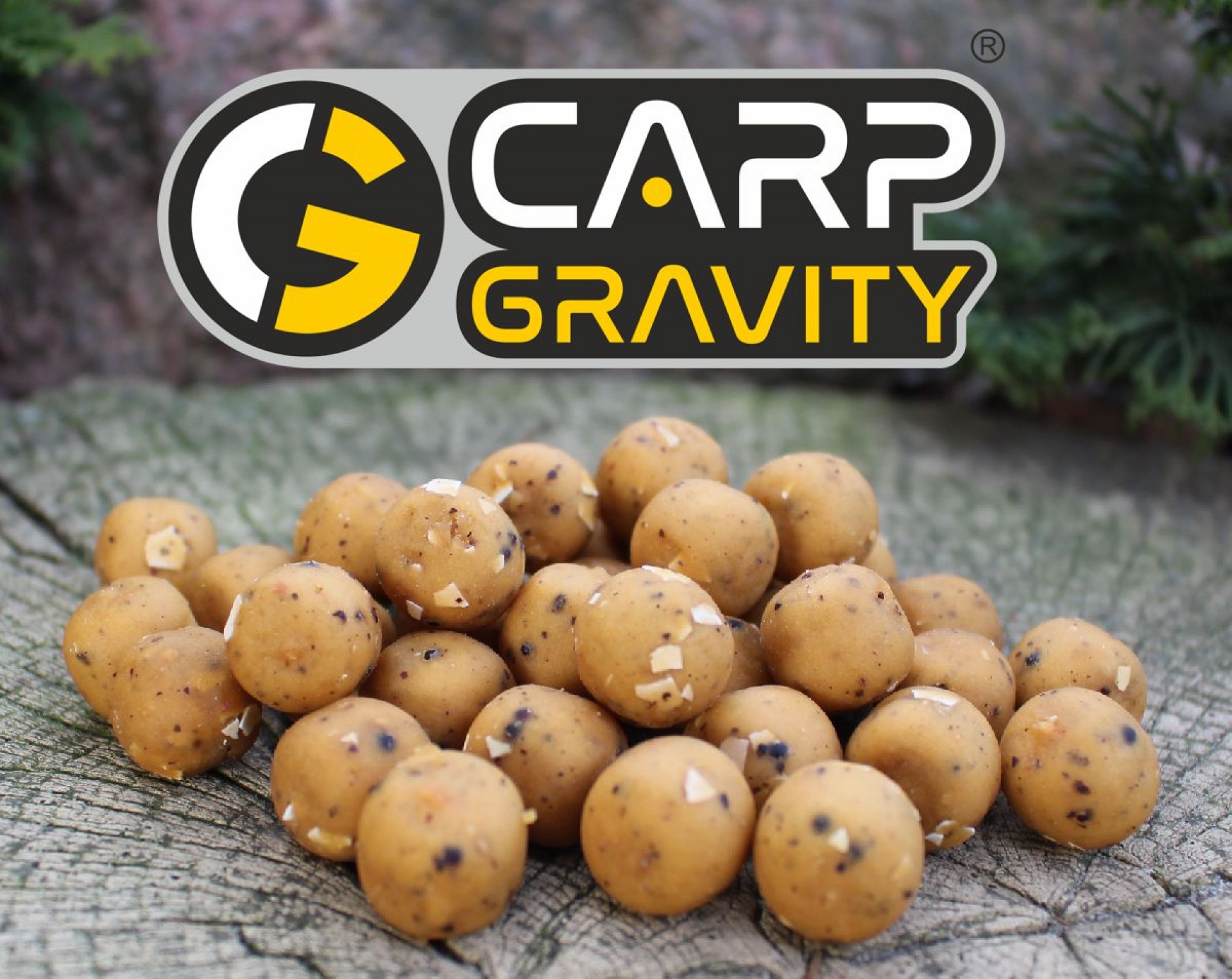 Carp Gravity Beta Natural Boilies - Ananas