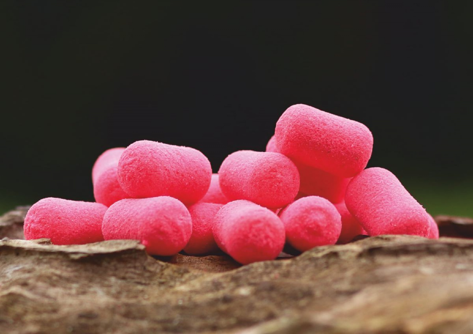 Carp Gravity Dumbells Pop Up - Bloodworm Caviar