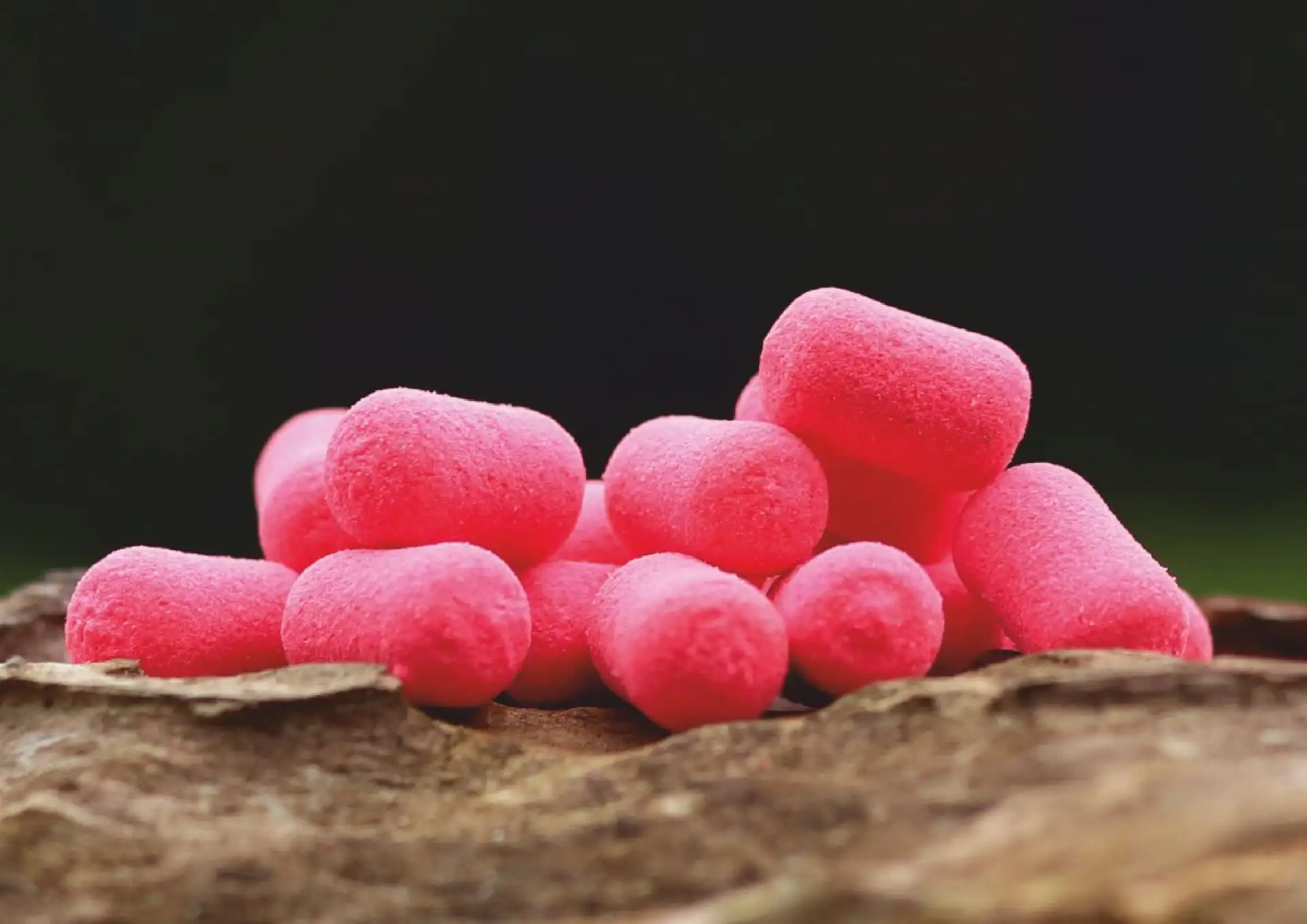 Carp Gravity Dumbells Pop Up - Bloodworm Caviar