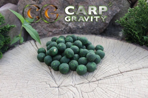 Carp Gravity Black Horse Series Boilies - Green Mussel GLM