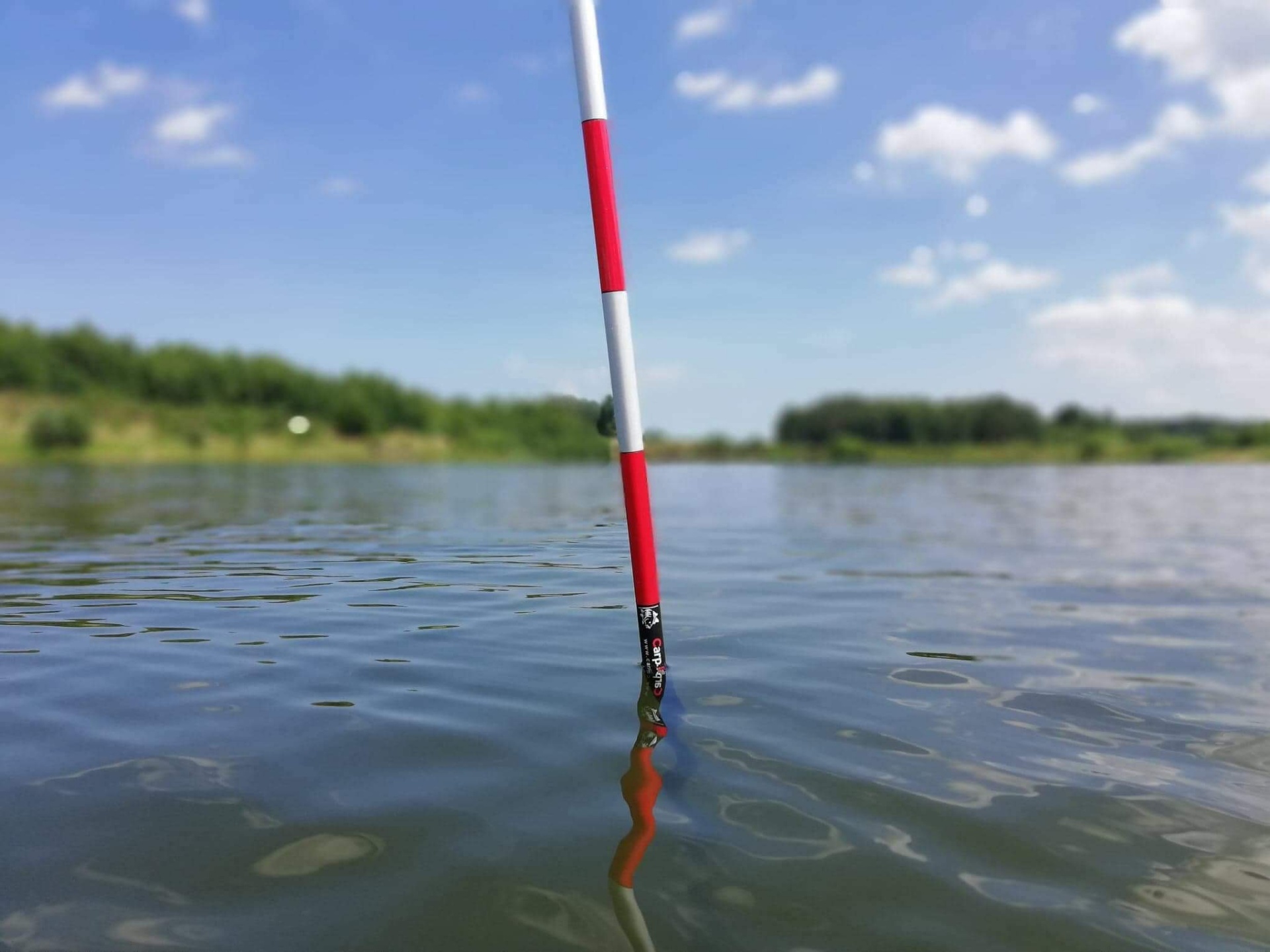 Carp Marker - Indicador de Carpintería