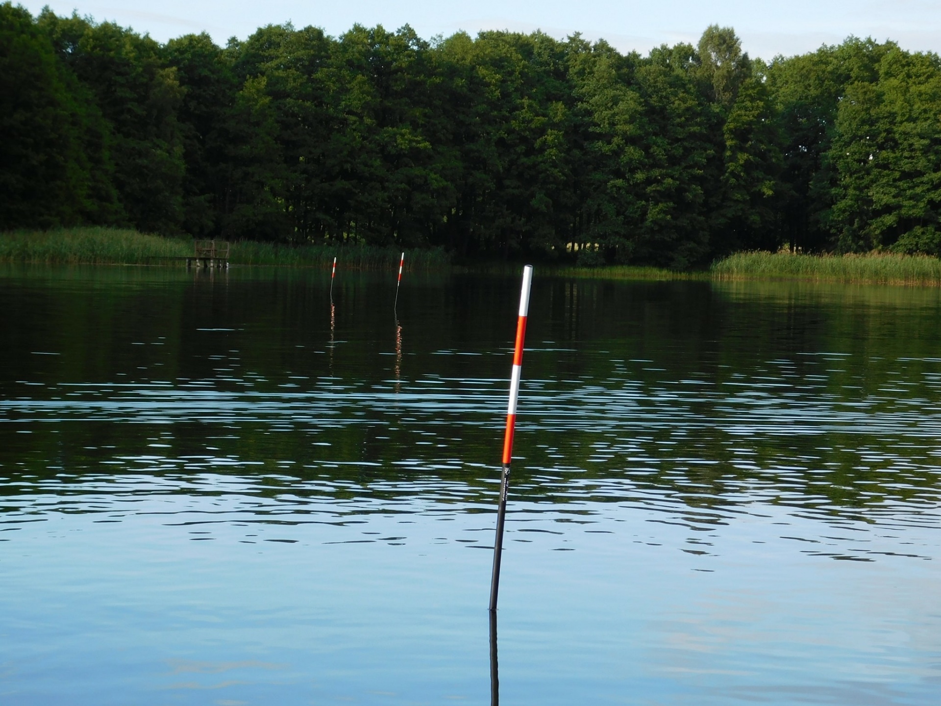 Carp Marker - Kaprový značkač