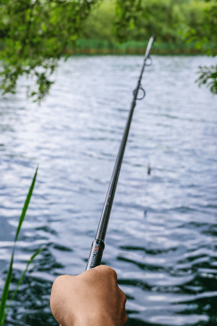 Fox Explorer Rods