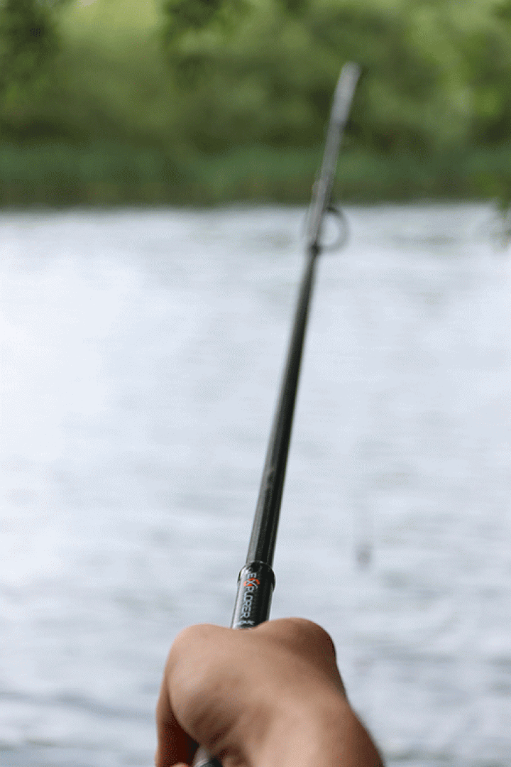 Fox Explorer Rods