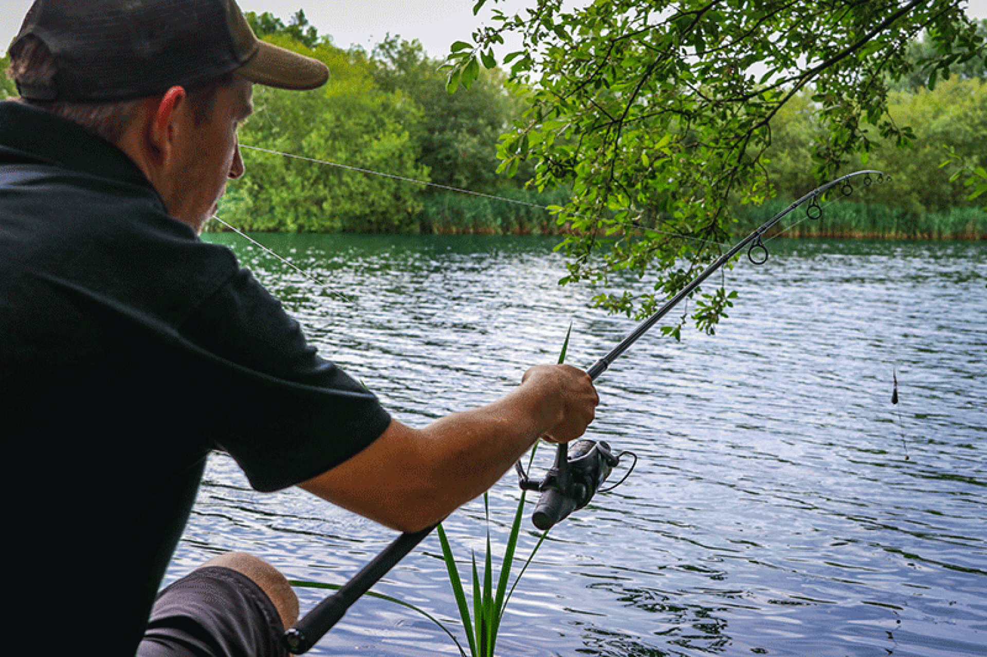 Fox Explorer Rods