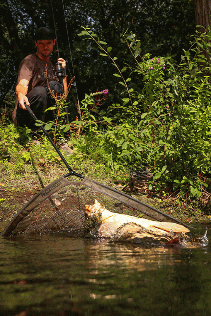 Fox Horizon X4 Landing Net