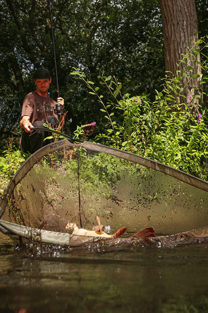 Fox Horizon X4 Landing Net