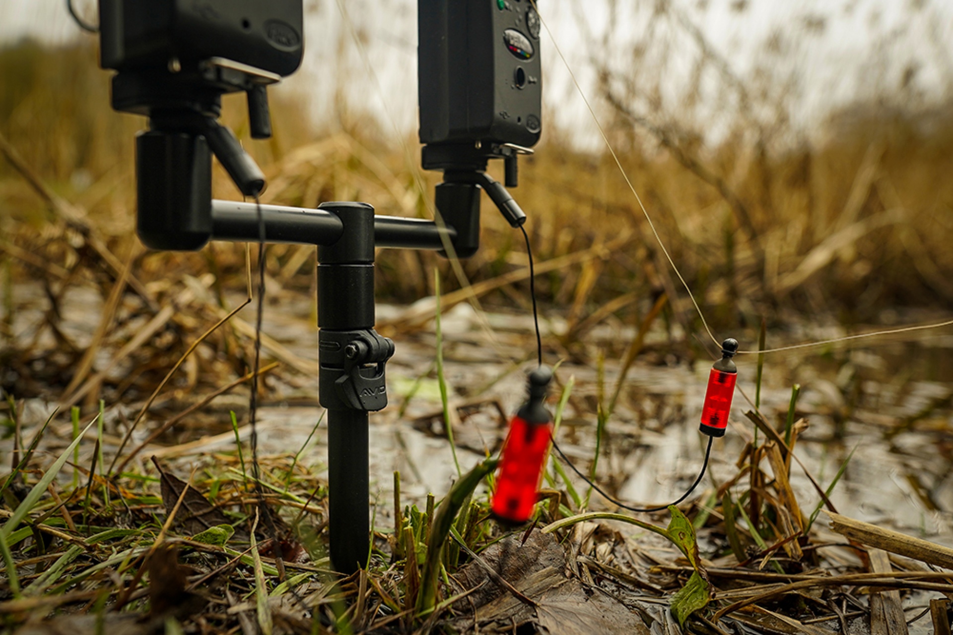 Avid Carp LokDown Bankstick