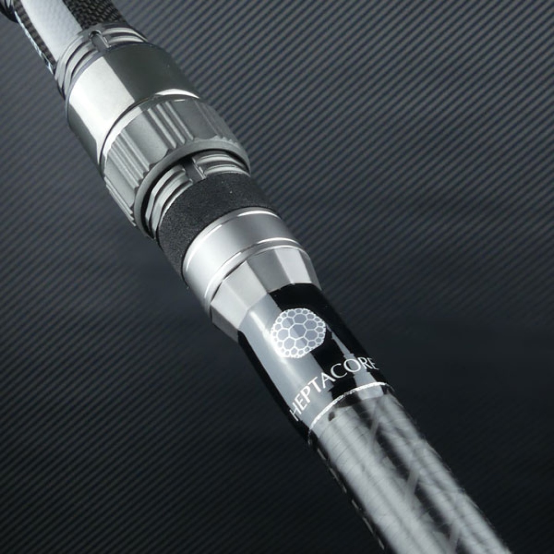 Sportex Beyond Carp Rod