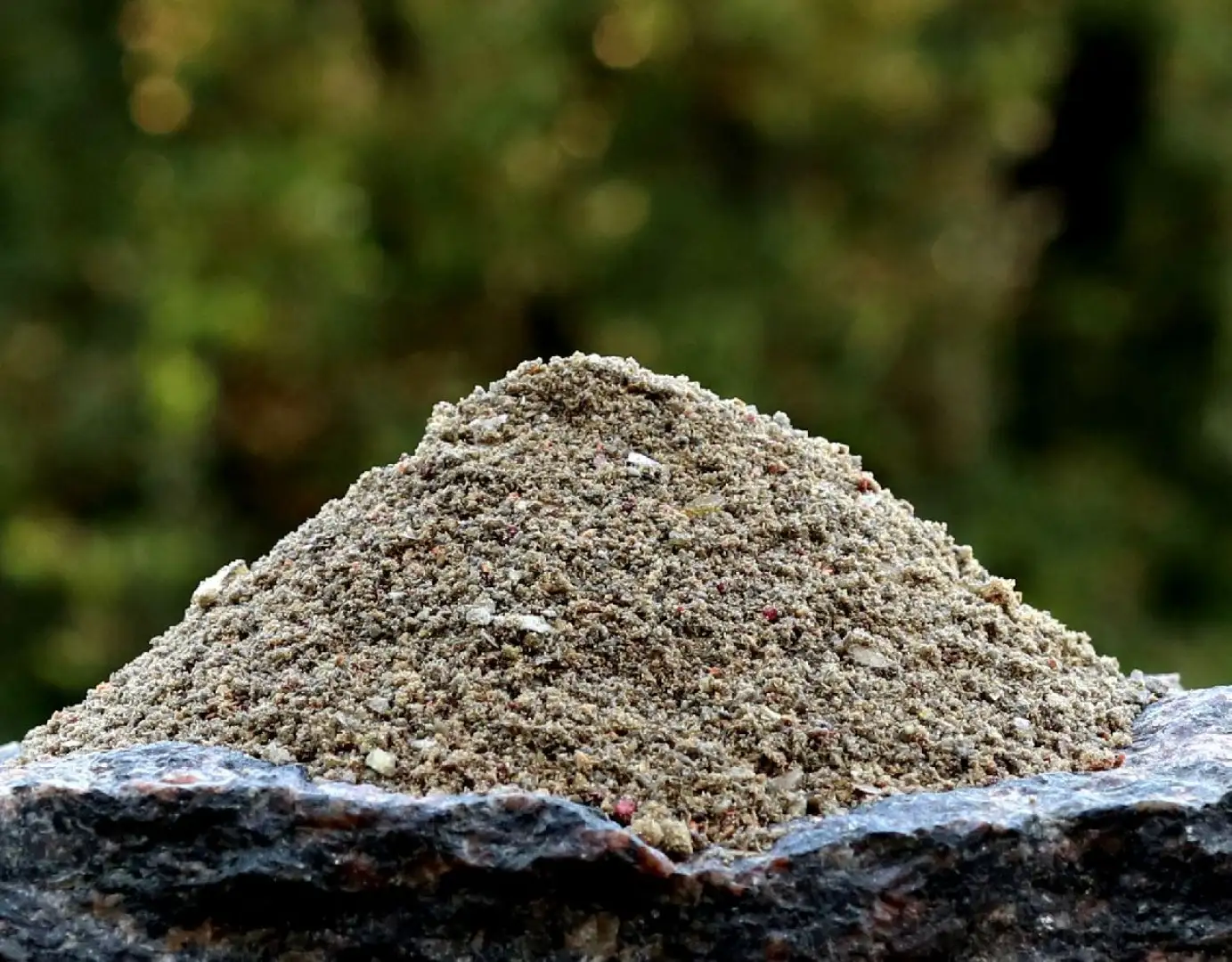 Carp Gravity Mączka Z Racicznicy