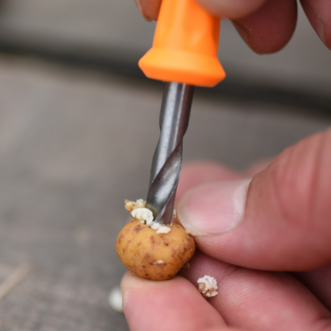 UnderCarp - Cork for Baits