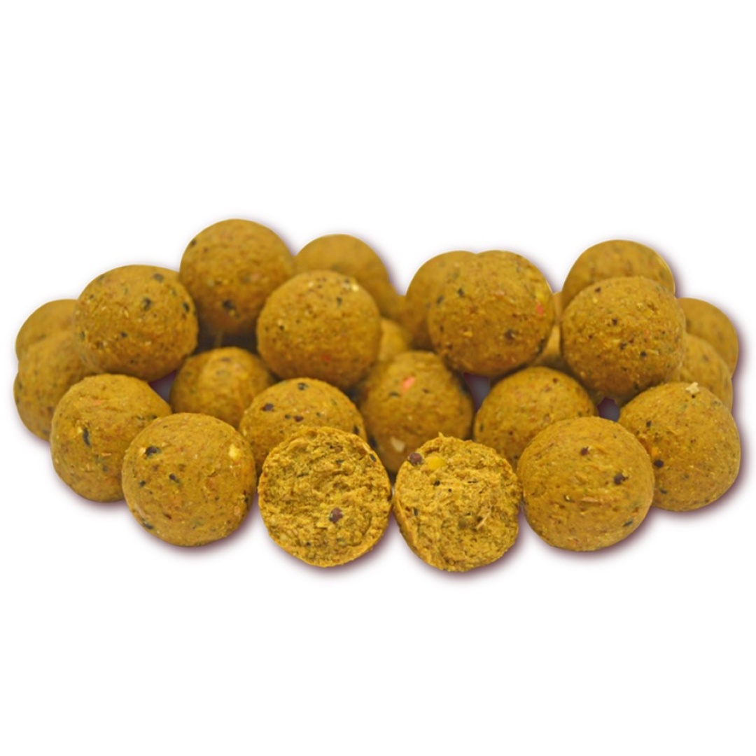 TB Baits Scopex Squid Feeding Boilies