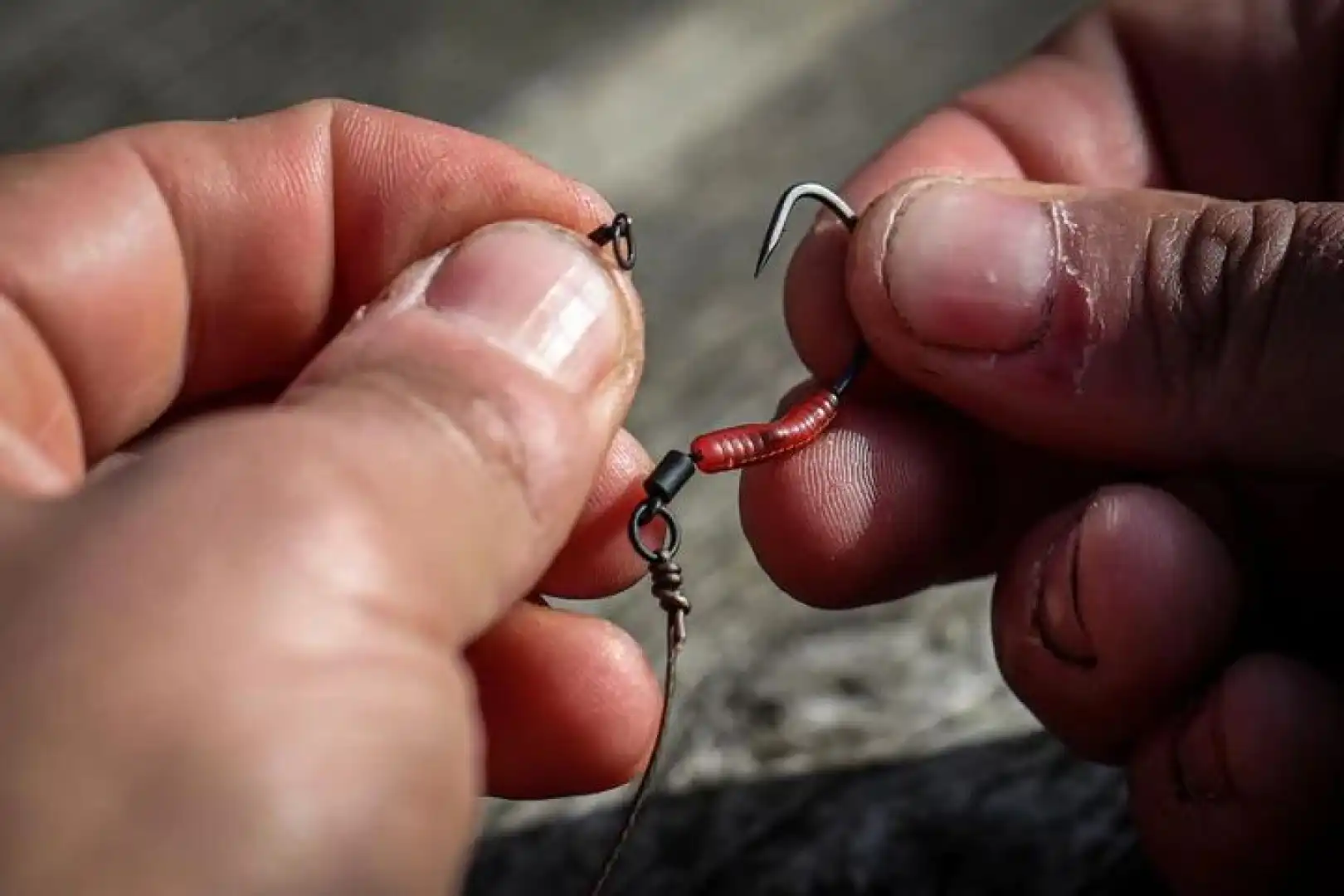 One More Cast COLNE-V Carp Hooks
