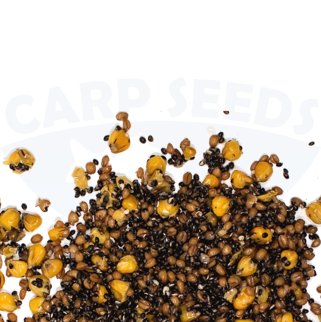 Carp Seeds Mix - Kanapės, Kvietys, Kukurūzai - Natūralus