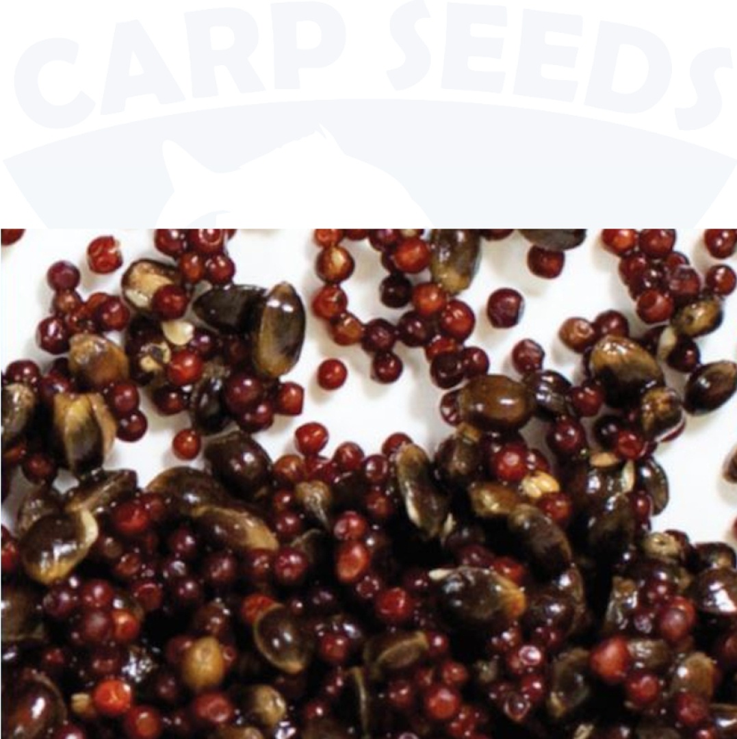 Carp Seeds Mix - Rösselsprung, Hanf - Natürlich