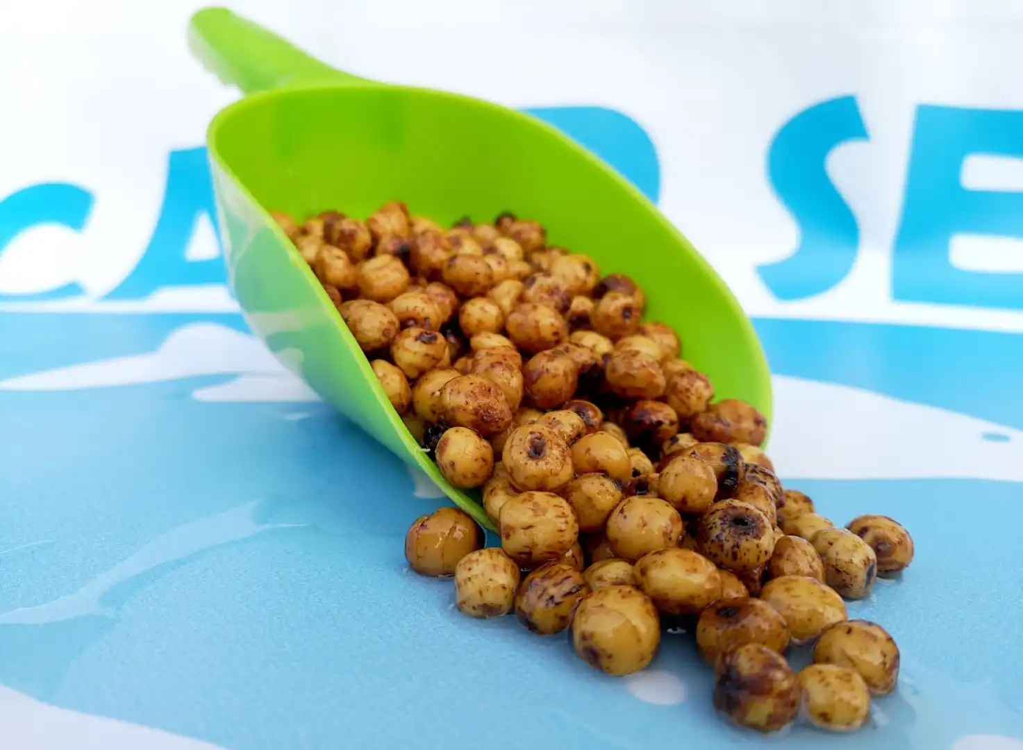 Carp Seeds  - Orzechy Tygrysie Fermentowane
