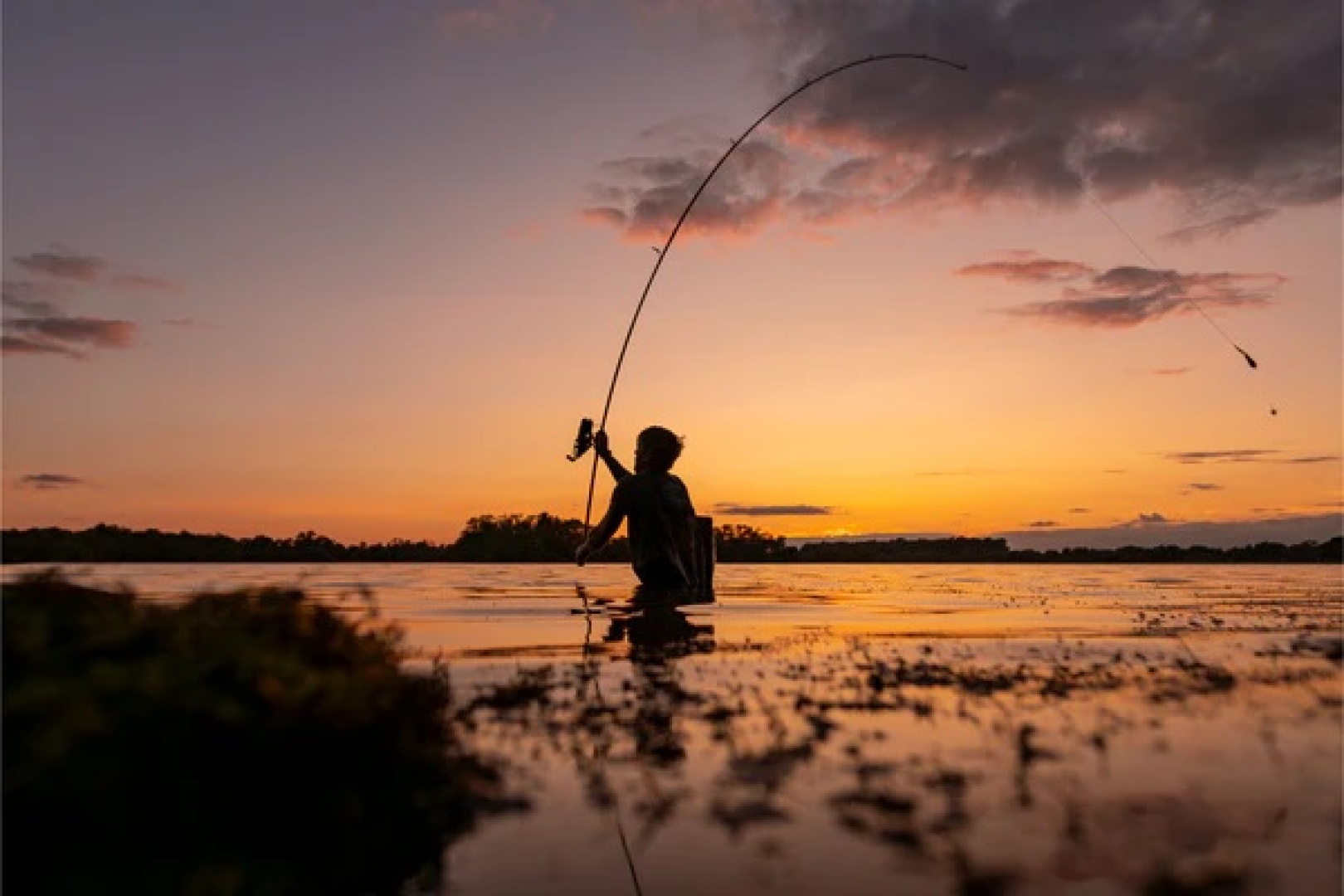 Nash Air Force F20 Carp Rod