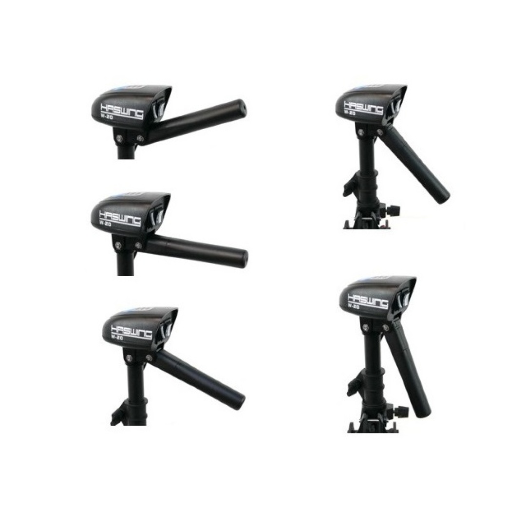 Haswing W-20 - Moteur Électrique