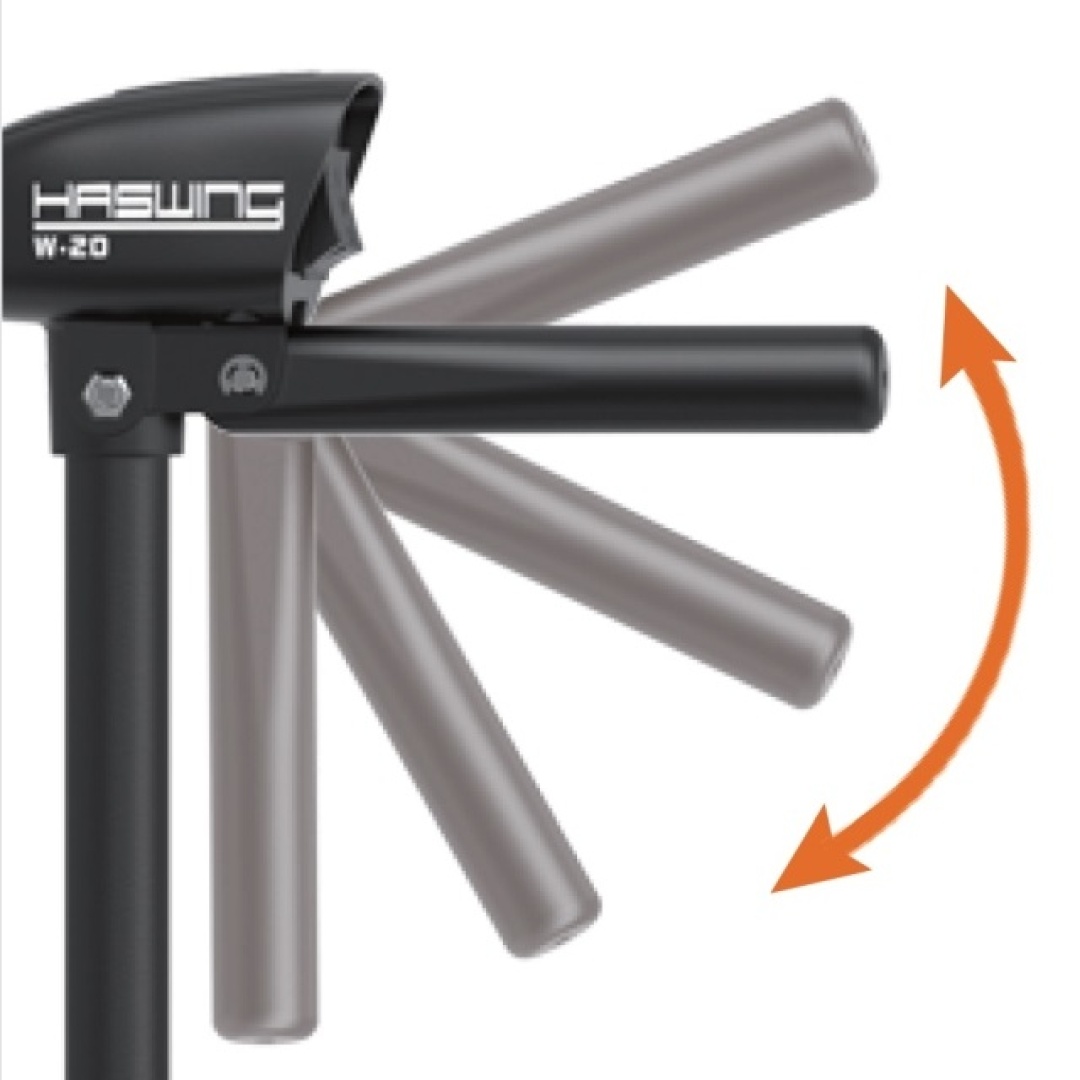 Haswing W-20 - Moteur Électrique