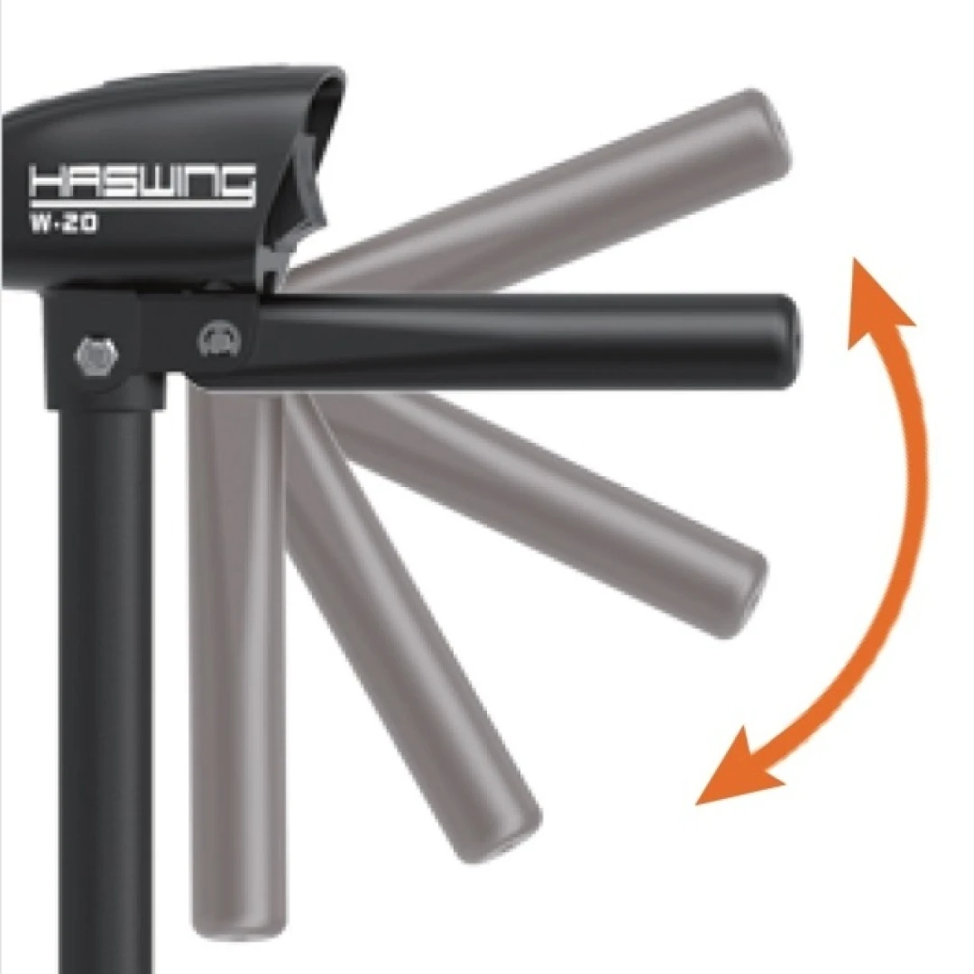 Haswing W-20 - Elektromotor