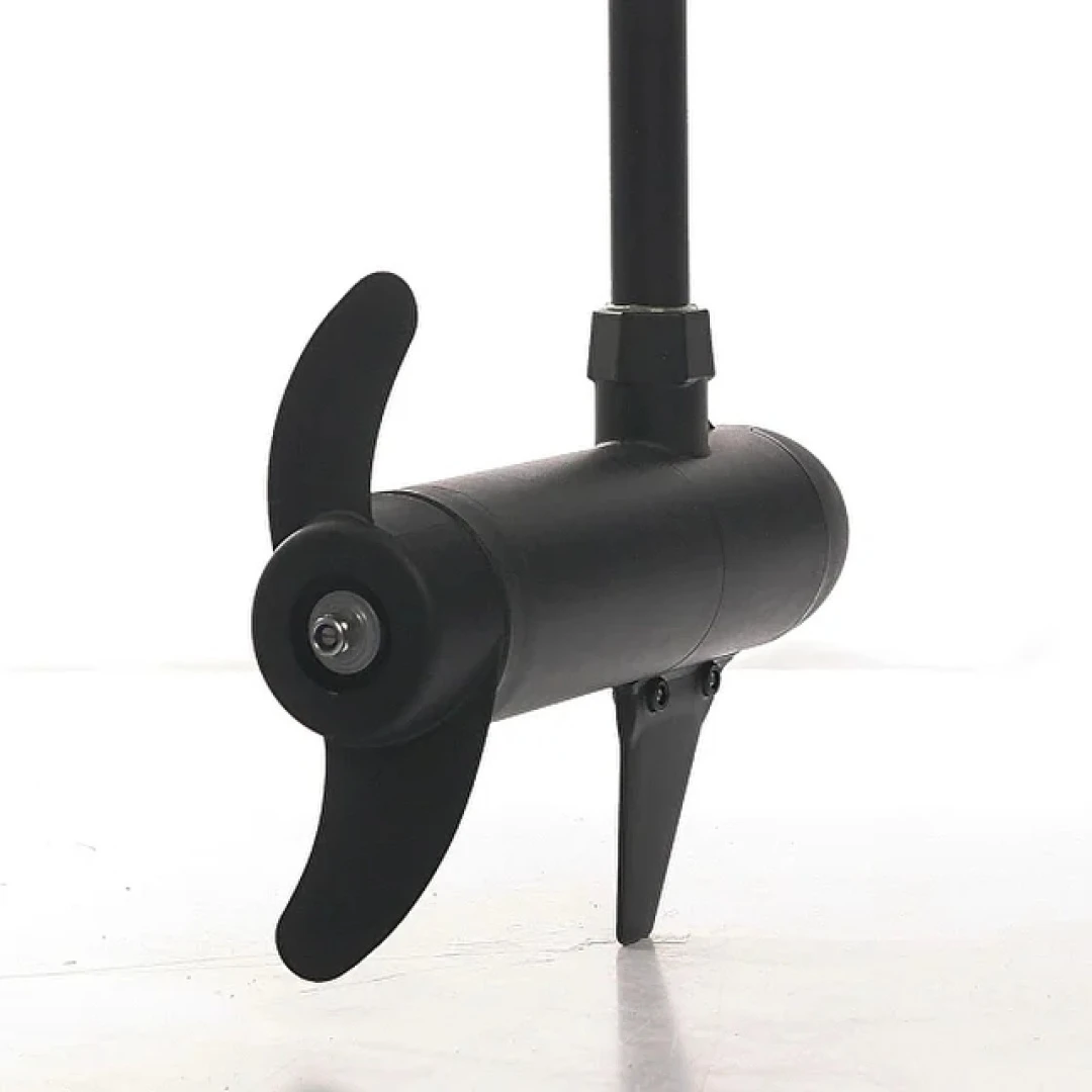 Haswing Osapian 30 - Motor Electric