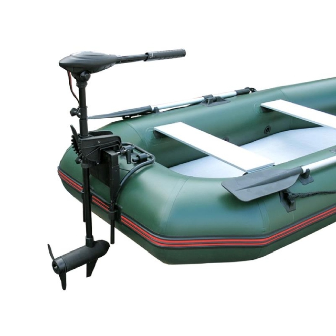 Haswing Osapian 40 MAX - Moteur Électrique