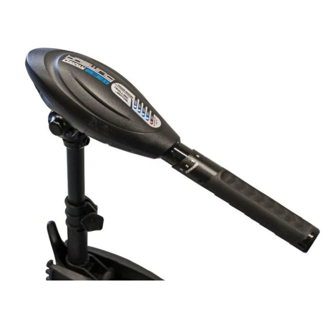 Haswing Osapian 45 MAX - Motor Eléctrico