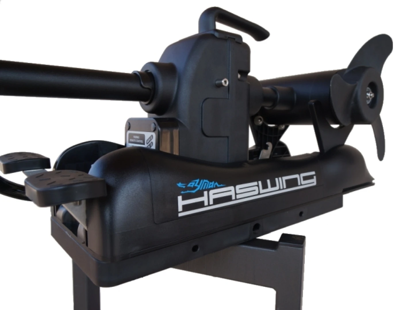 Haswing CAYMAN 80BY GPS - Bugmotor Elektroantrieb