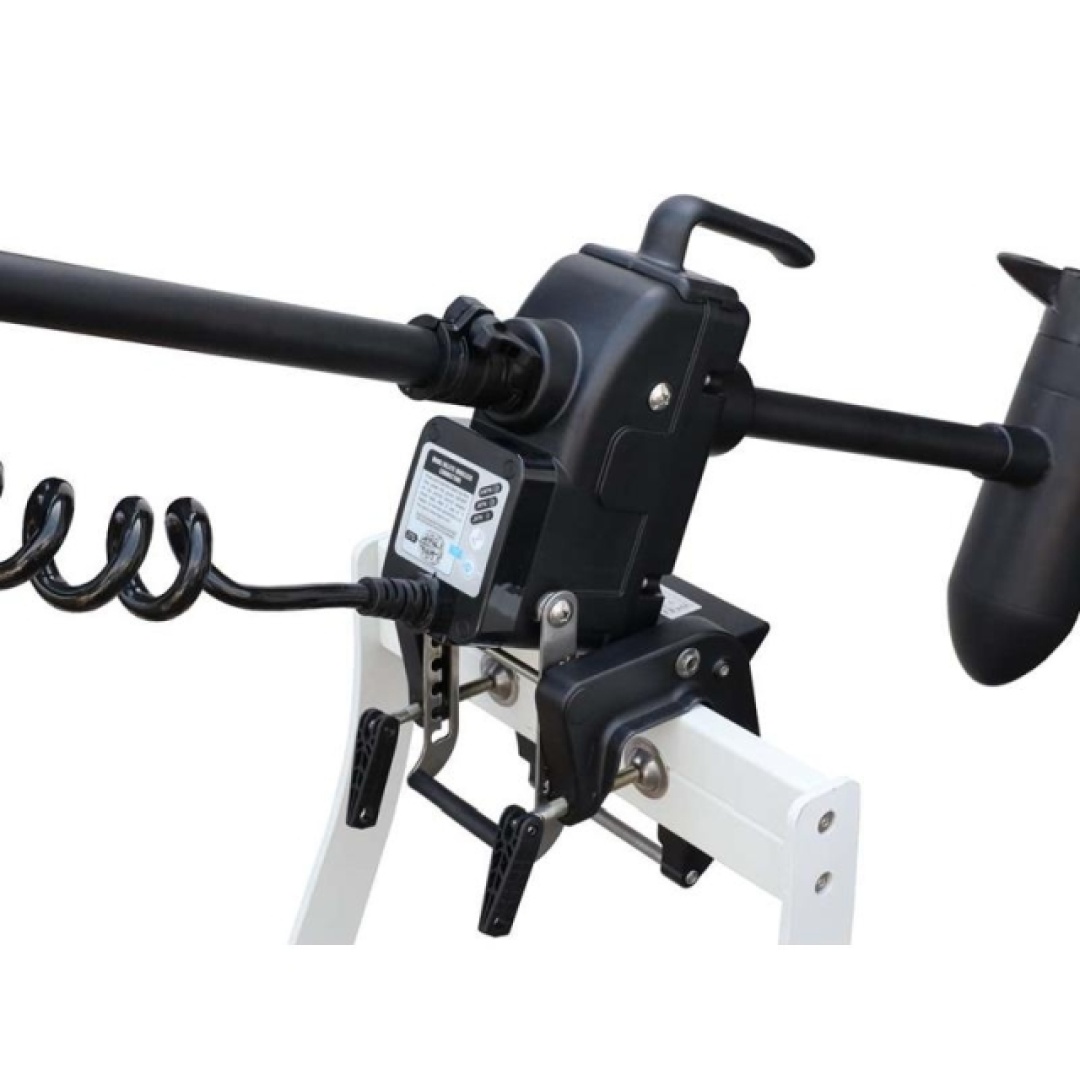 Haswing CAYMAN 55T - Elektrischer Motor