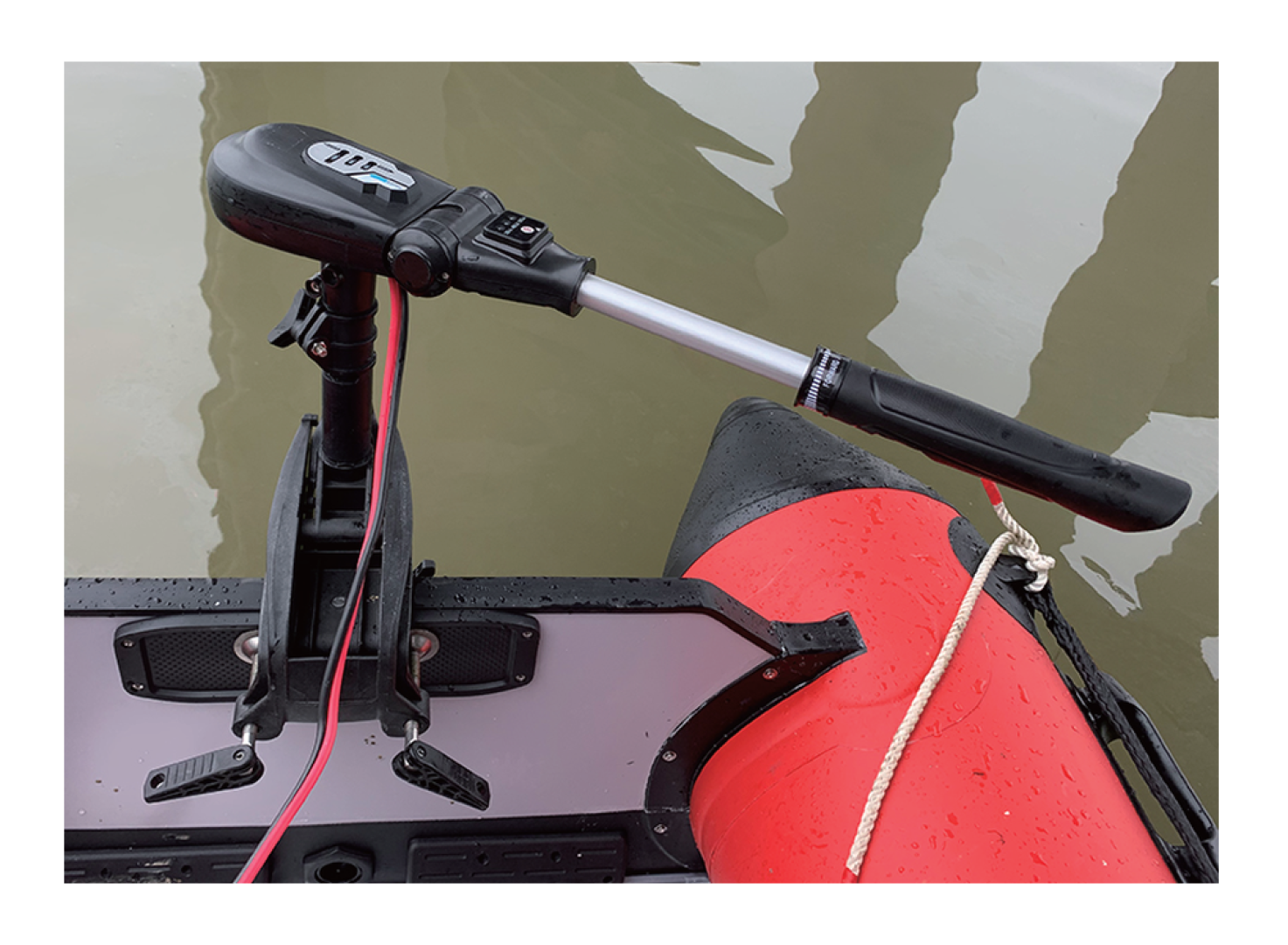 Haswing PROTRUAR Genius 55 - Elektromotor