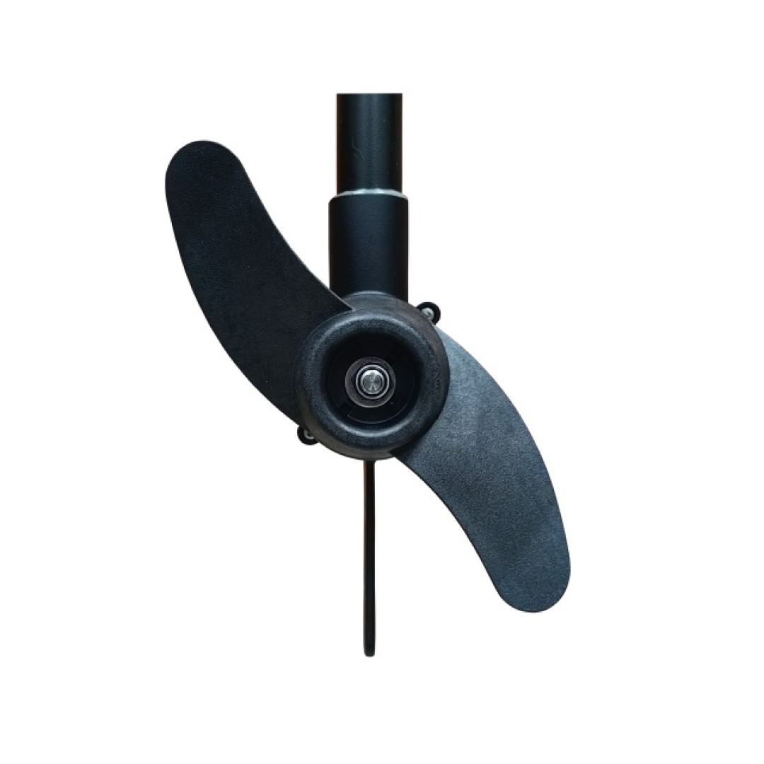 Haswing PROTRUAR Genius 55 - Elektromotor
