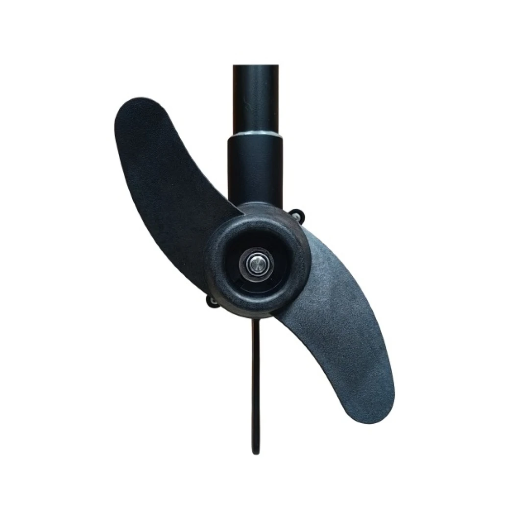 Haswing PROTRUAR Genius 55 - Elektromotor