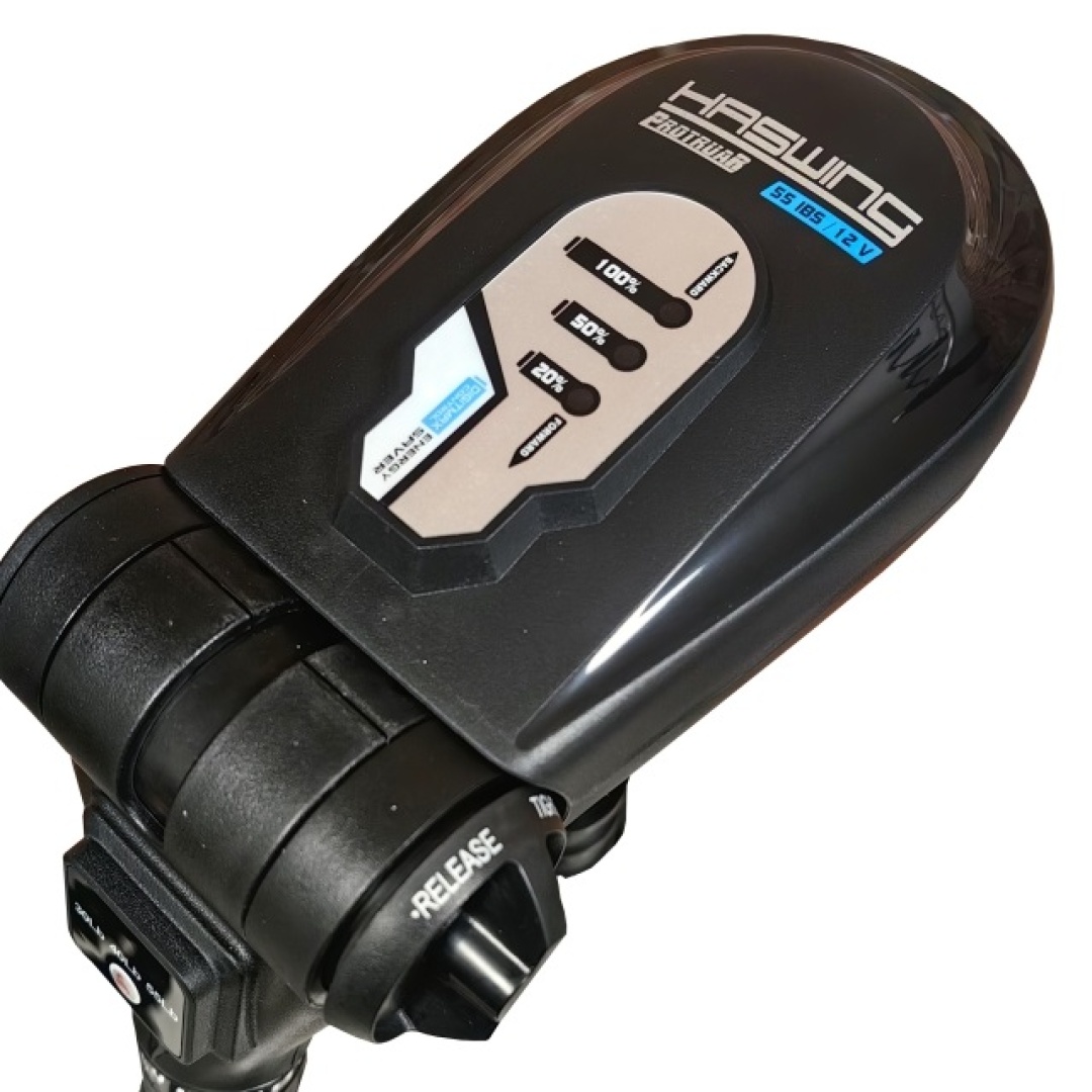 Haswing PROTRUAR Genius 55 - Elektromotor