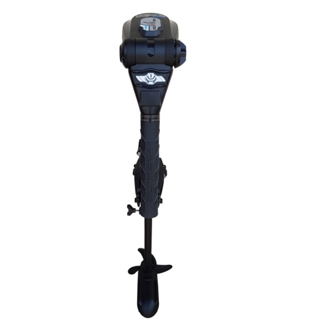 Haswing PROTRUAR 1.0 SLIM 66 - Elektromotor