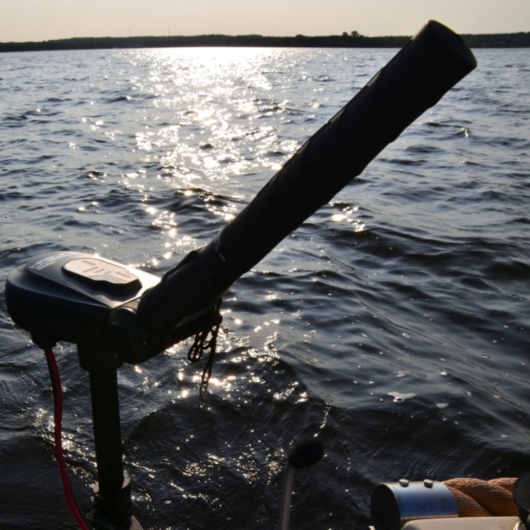 Haswing PROTRUAR 2.0S - Elektrischer Motor
