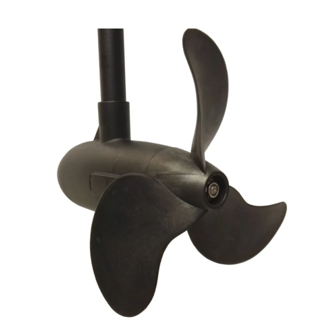 Haswing PROTRUAR 3.0G - Elektromotor