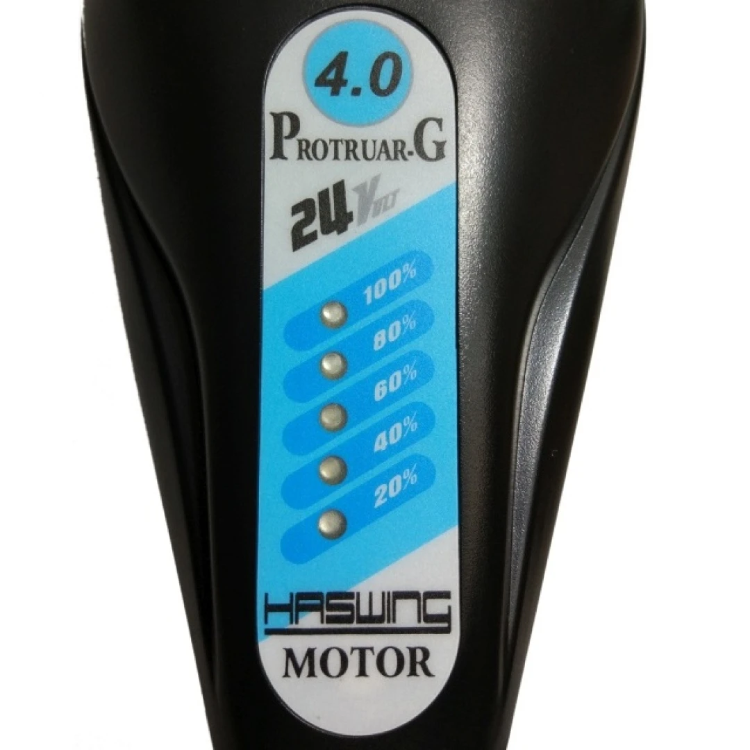 Haswing PROTRUAR 4.0G - Motor Eléctrico