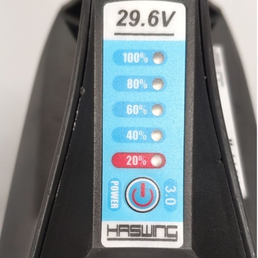 Haswing ULTIMA 3.0 L - Elektrischer Motor