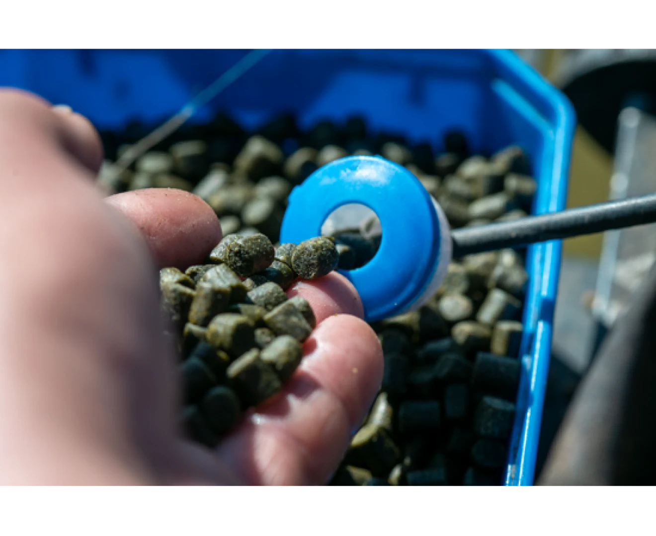 Sonubaits Feed Pellet - Marine Green