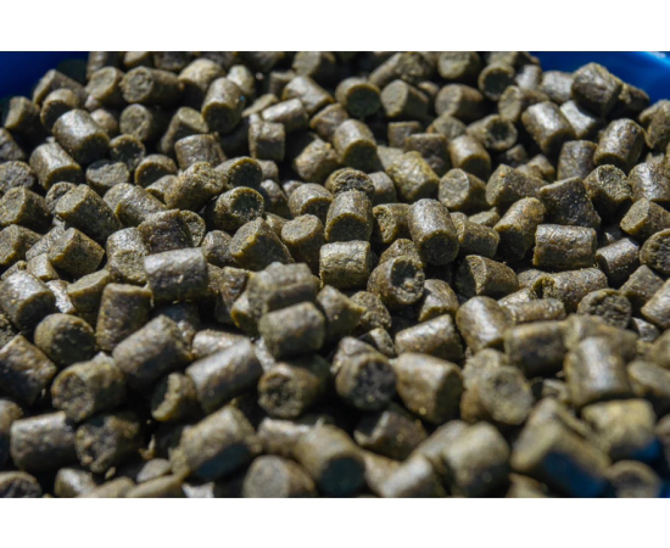 Sonubaits Feed Pellet - Marine Green