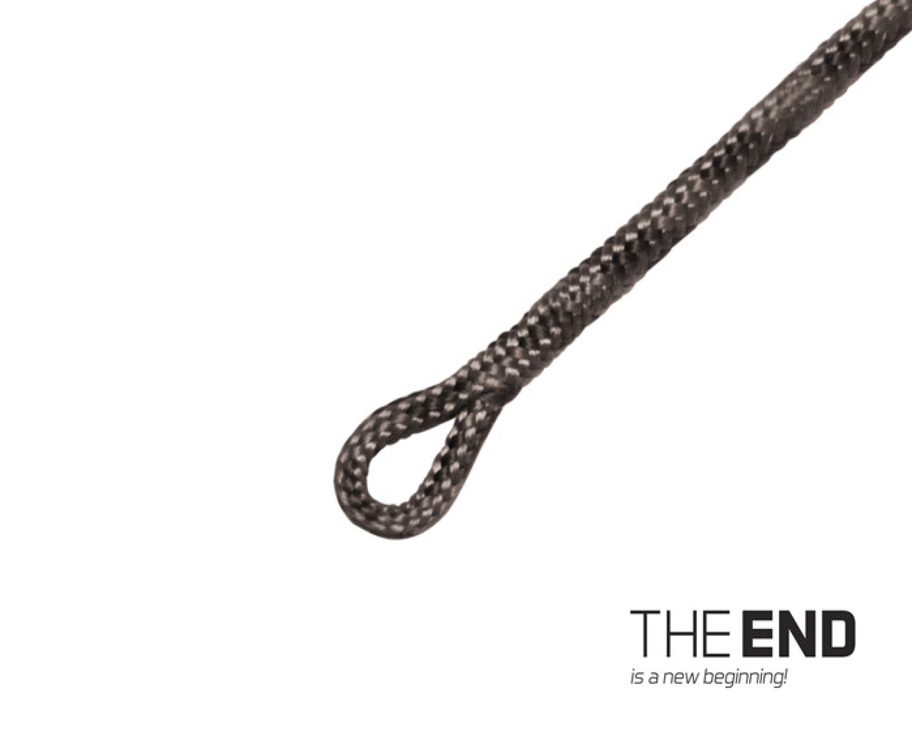 Delphin THE END Leadcore Swivel Rig