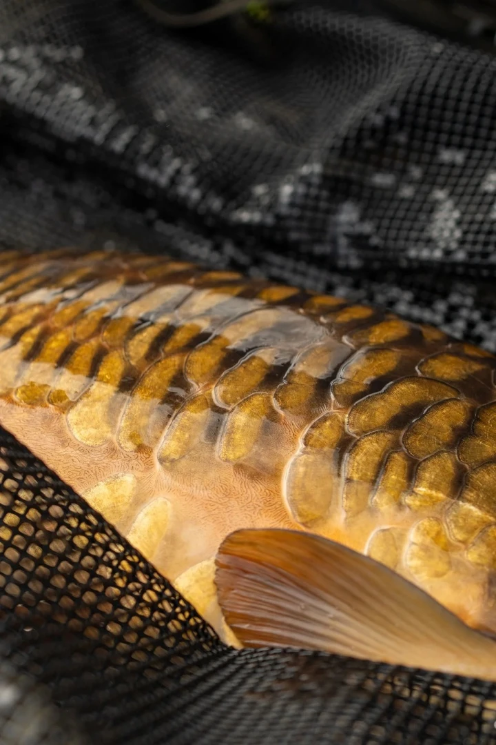 One More Cast Heist PB Sling