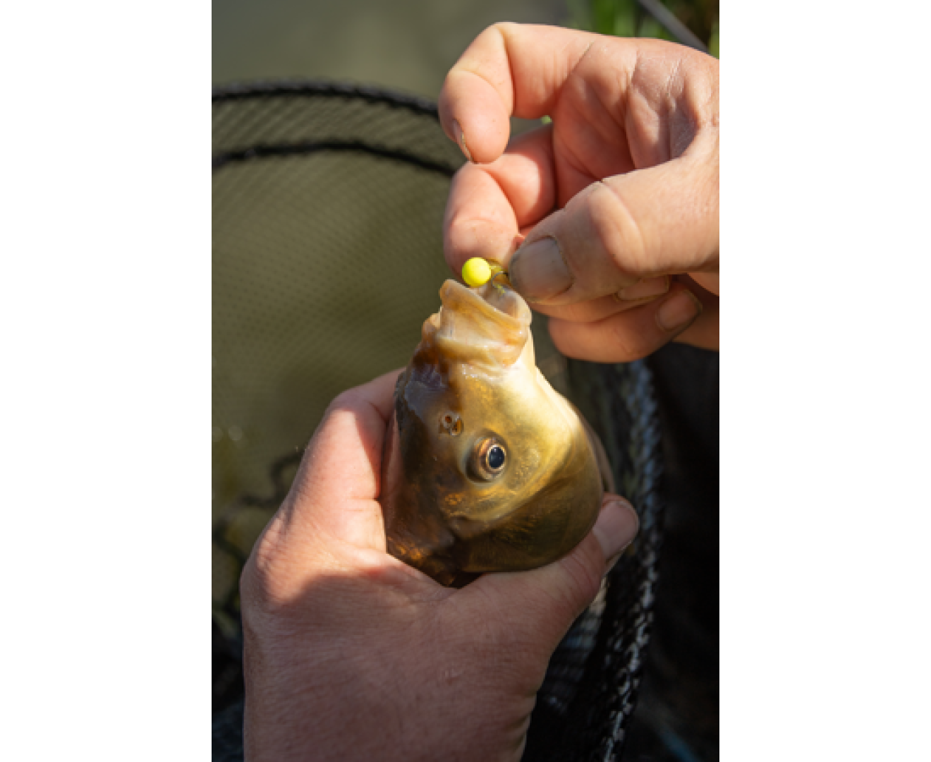 Sonubaits Spike'um Wafter Banoffee